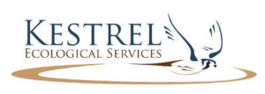kestrel-logo-04-29-09-rgb.jpg.w560h200